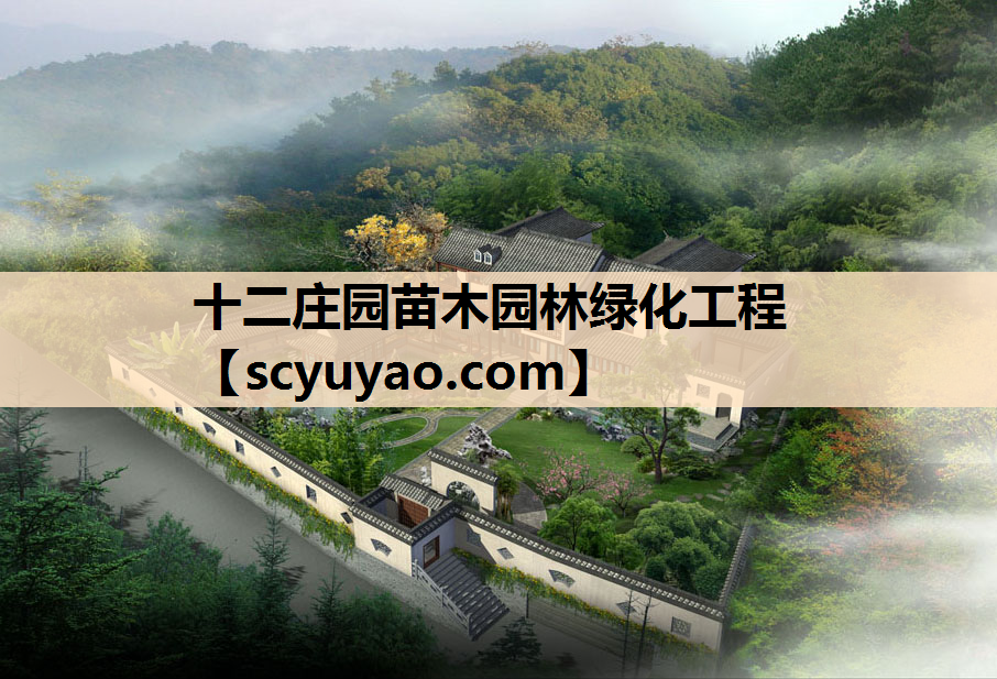 十二庄园苗木园林绿化工程