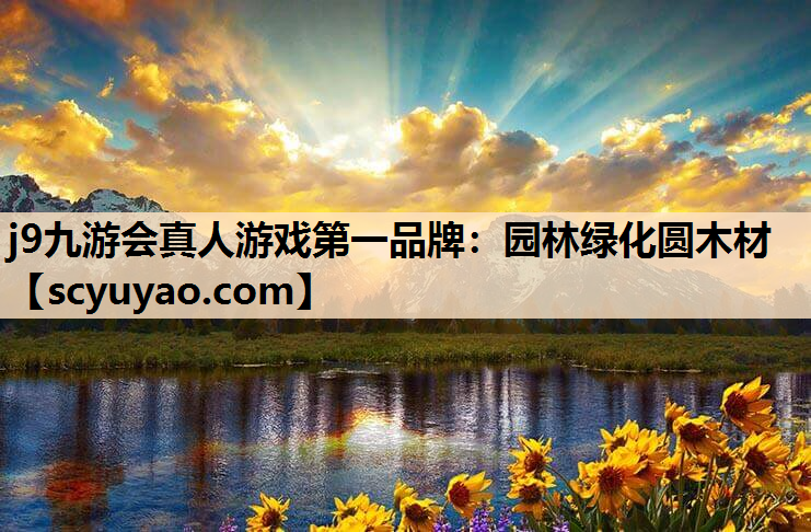 j9九游会真人游戏第一品牌：园林绿化圆木材