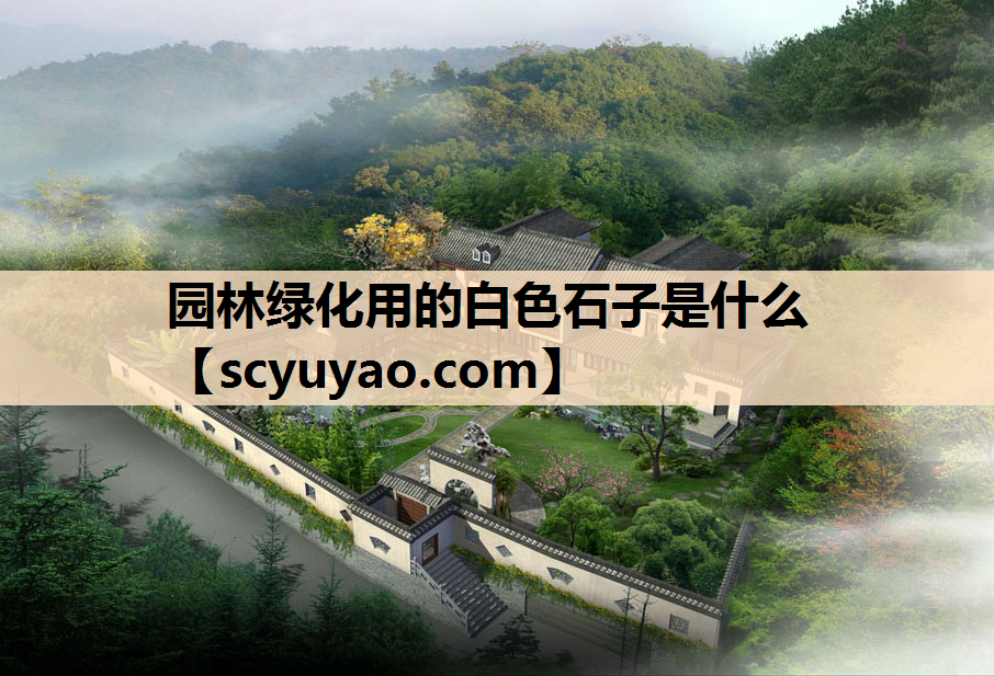 园林绿化用的白色石子是什么