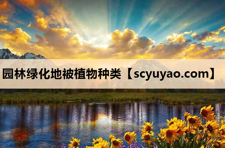 园林绿化地被植物种类