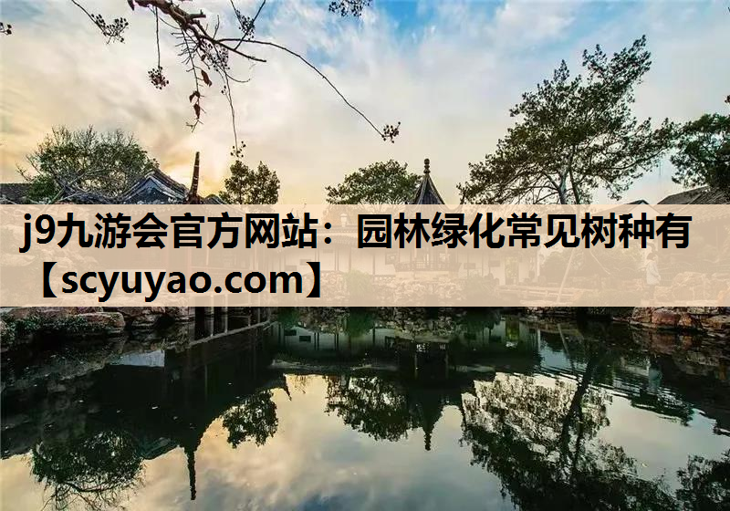j9九游会官方网站：园林绿化常见树种有