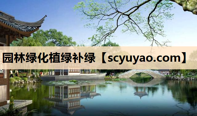 园林绿化植绿补绿