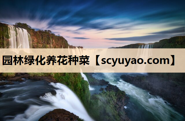 园林绿化养花种菜