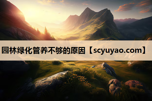 园林绿化管养不够的原因