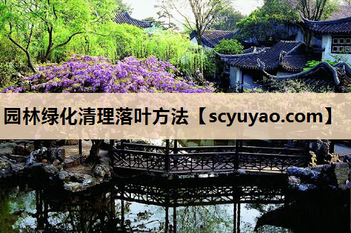 园林绿化清理落叶方法