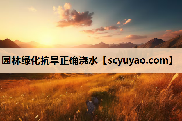 园林绿化抗旱正确浇水