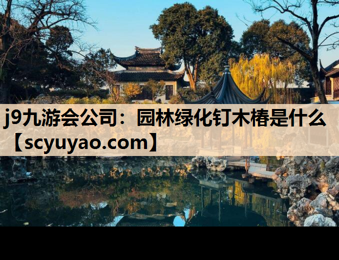 j9九游会公司：园林绿化钉木椿是什么