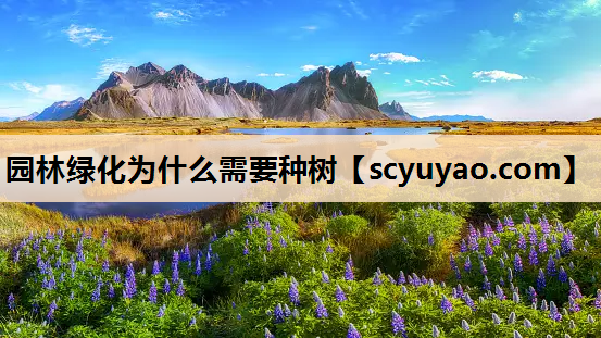 园林绿化为什么需要种树
